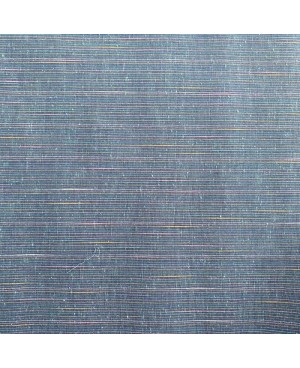JEAN JAPONAIS NUKUMORI SHIMA TSUMUGI BLEU (NA-21)