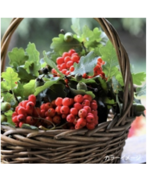 Coffret de 25 fils à broder fruit rouge