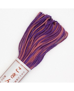 Filo Kogin Variegato 18mt Viola KT-61